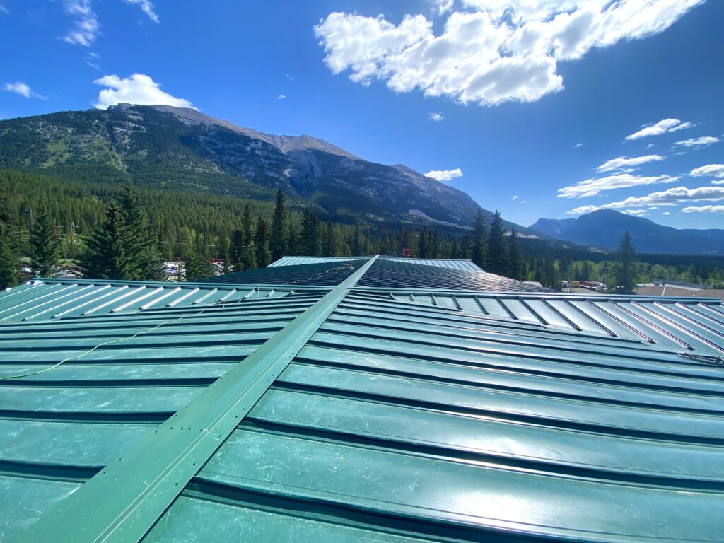 4 3296 22t Boychuk Alpine 1